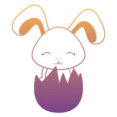 Cute rabbit icon 
