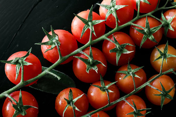 branches of cherry tomatoes