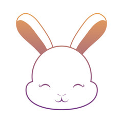 Cute rabbit icon 