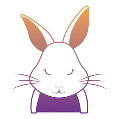 Cute rabbit icon 