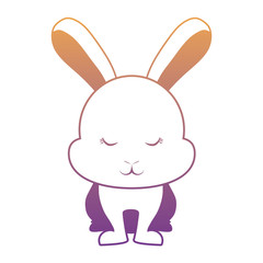 Cute rabbit icon 