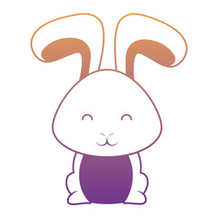 Cute rabbit icon 