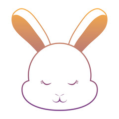 Cute rabbit icon 