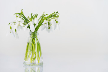 snowdrops in a glass vase, a lot of snowdrops