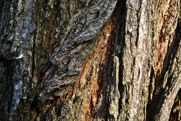 texture