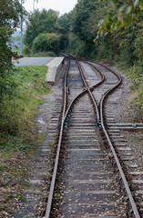 Fototapeta premium Railway tracks and platform in woods