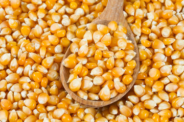 dried corn kernels