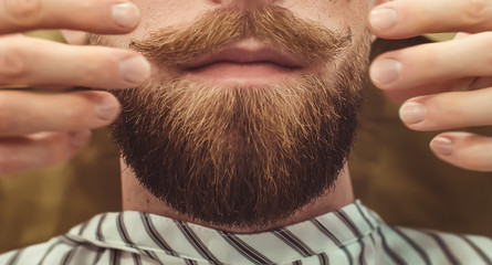 Closeup of a cropped photo of a bearded stylish men. Care beard and mustache in beauty salon.