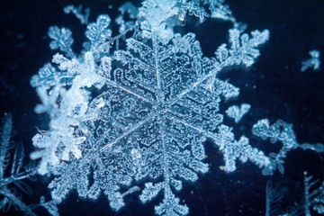 real snowflakes in the winter frozen in the cold layers of the atmosphere heavenly beauty unique live snowflake among frosty patterns and snow