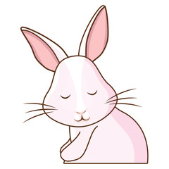 Cute rabbit icon