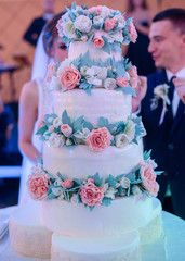Wedding couple stands before layered wedding cake decorated with flowers