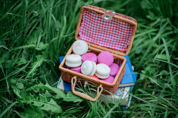 Little box with colorful macaroons stands on the books on a green lawn