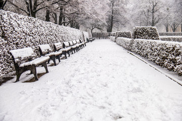 Row of benches in the winter