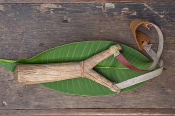 slingshot or catapult 