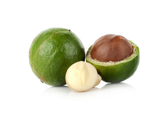 Macadamia nut on white background