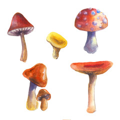 Bright watercolor mushroom set