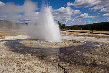 Jewel Geyser in Biscuit Basin  in Yellowstone National Park in Wyoming in the USA
