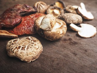 Ganoderma Lucidum with shiitake mushrooms