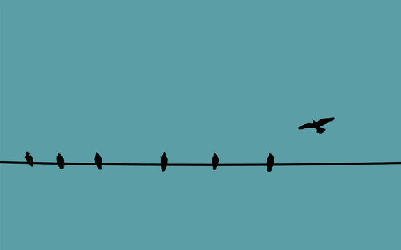 social distancing concept. birds on wire color background