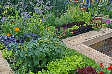 A raised edible vegetable and flower garden in an urban setting