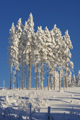 the winter in swedish Lapland