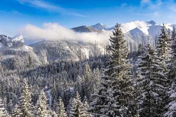 The great peaks of the High Tatra Mountains in the winter landscape.