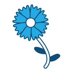 beautiful flower icon 