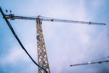 grue en action au crépuscule