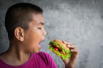 Portrait Asian fat boy enjoy eating with hamburger, concept healthy and lose weight ,selective and soft focus