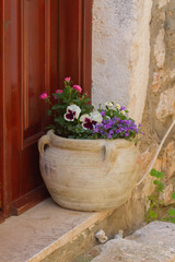 Flower composition of violets, bellflowers and carnations, in front of a croatian door (Istria)