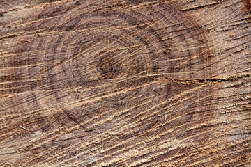 Obraz premium texture
