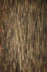 Brown grunge wood texture