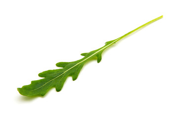 Fototapeta premium Green arugula leaf isolated on white