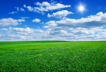 Image of green grass field and bright blue sky