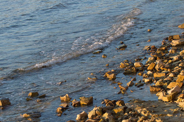 Coast of Adriatic Sea (Istria, Croatia)