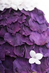 プリザーブドフラワー　アジサイ　バック　アップ