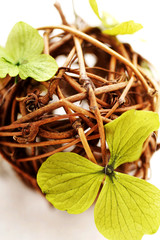 プリザーブドフラワー　籐　編み