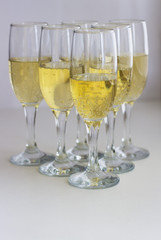 A group of glasses with champagne on a white background.
