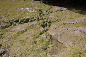 Wai-O-Tapu Geological feature