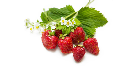 strawberry on isolated white background