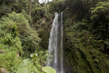Waterfall in a cloud forest near Boquete, Panama. Accessible by Lost Waterfalls hiking trail