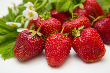 strawberry on isolated white background