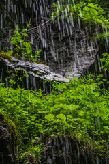 schwarzer Felsen - Regentropfen / Wassertropfen von oben - grüner Bewuchs