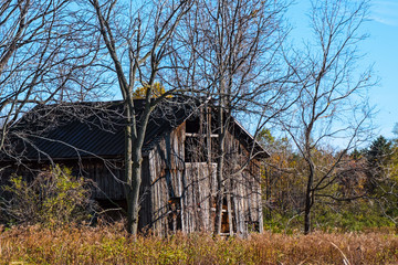 Abandoned Barn in Trees