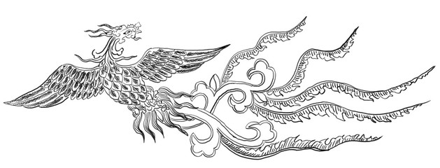 chinese phoenix illustration,hand drawn painting - 194302483