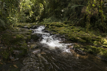 Fototapeta na wymiar Caldera river through rocks in a rainforest, Boquete ,Chiriqui highlands, Panama, Central America
