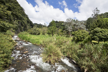 Naklejka na ściany i meble Caldera river through rocks in a rainforest, Boquete ,Chiriqui highlands, Panama, Central America