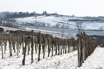 Chianti, Tuscany, Italy. Winter. Snowy Weather, Clouds Blue Sky. Vineyards, Trees