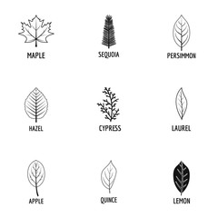 Tree structure icons set. Simple set of 9 tree structure vector icons for web isolated on white background
