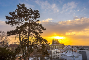 Cathedral of Saints Peter and Paul, winter morning, Brno, South Moravia, Czech Republic - obrazy, fototapety, plakaty